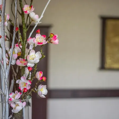 Hotel Pid Strihoju Bukoveľ