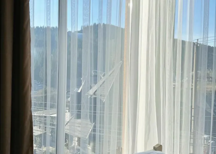 Pid Strihoju * 布克维