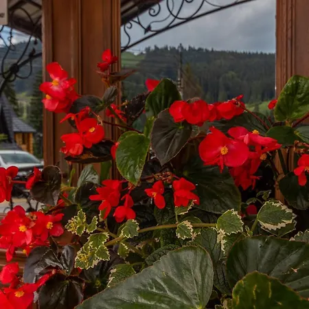 Hotel Pid Strihoju *