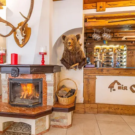 Hotel Pid Strihoju