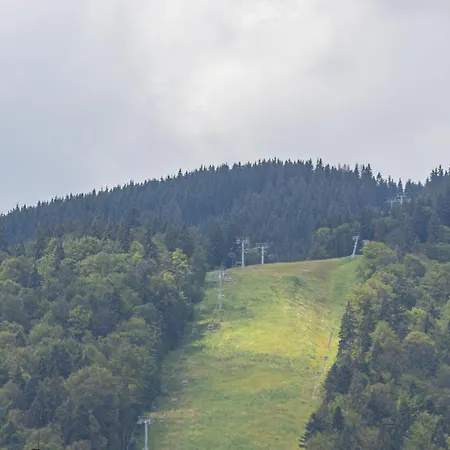 Pid Strihoju * Bukovel